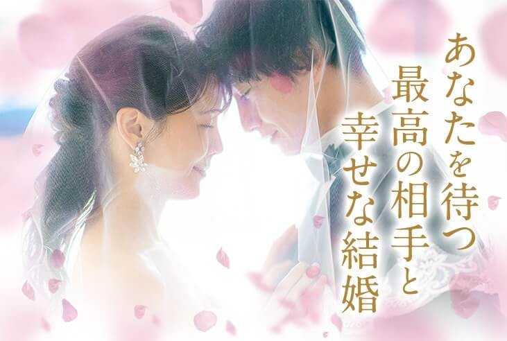 実績
