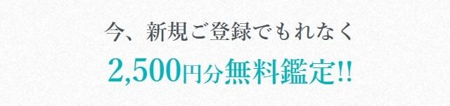 新規登録で2500円無料 (2)