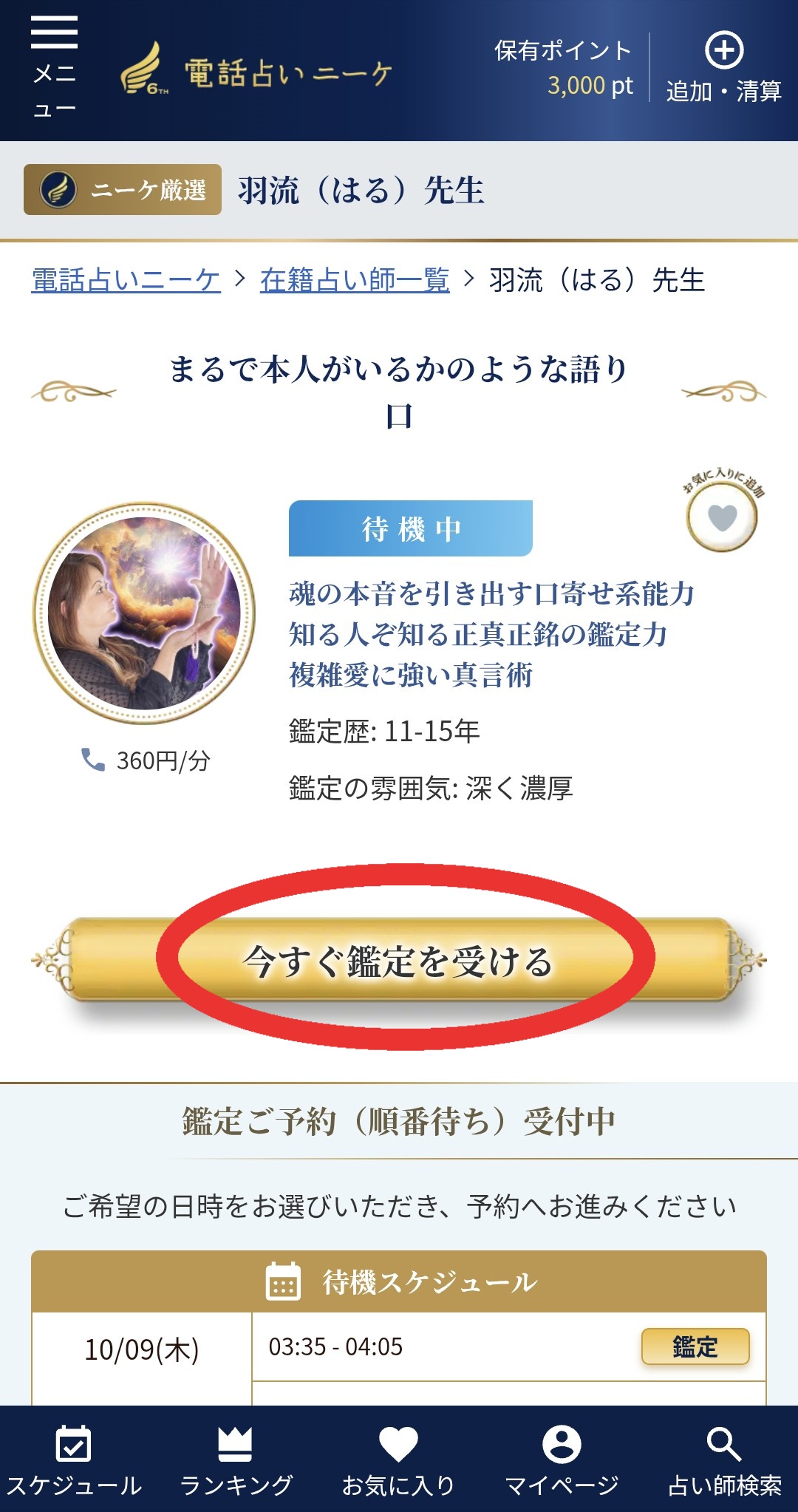 電話占いニーケ鑑定2