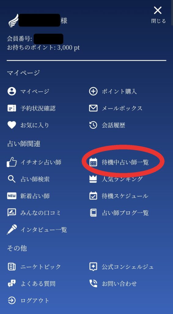 電話占いニーケ鑑定1