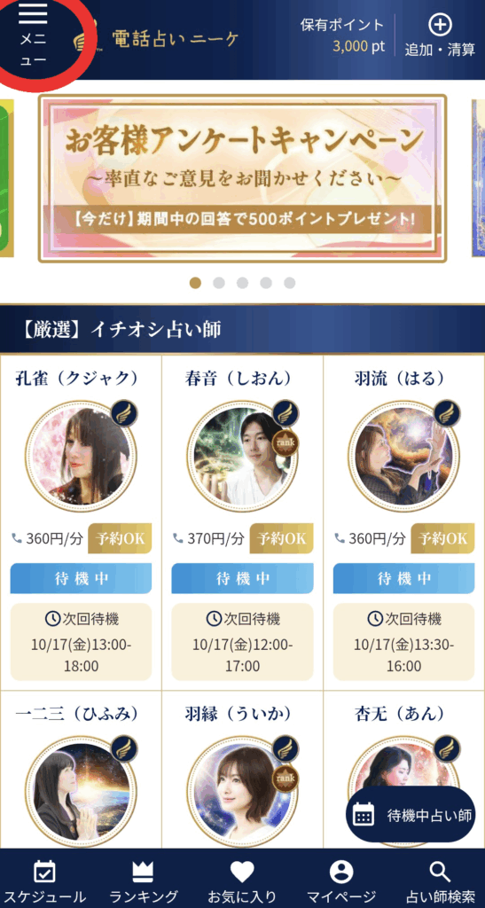 電話占いニーケメニュー