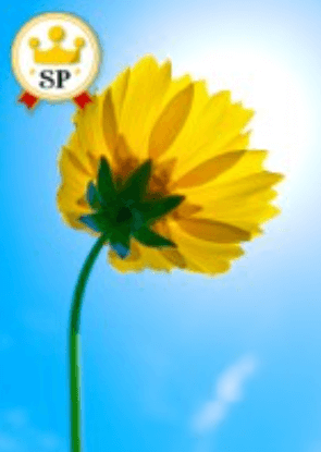 輝伊（キイ）先生